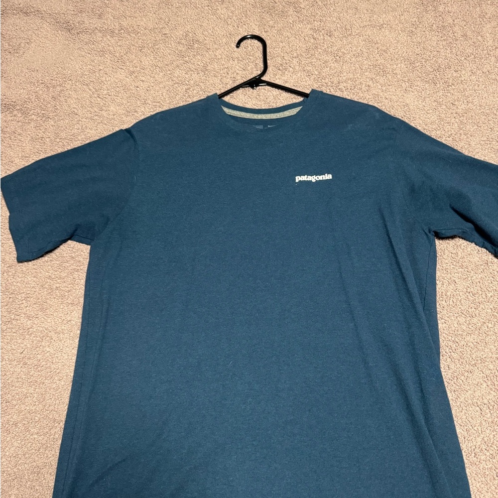 Patagonia Men's Teal Short Sleeve Tee